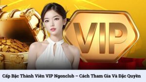 Cấp bậc thành viên VIP NgonClub – Cách tham gia và đặc quyền