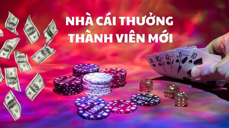 Lợi ích khi thường xuyên cập nhật tin tức NgonClub